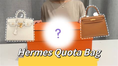 hermes constance vs quota bag.